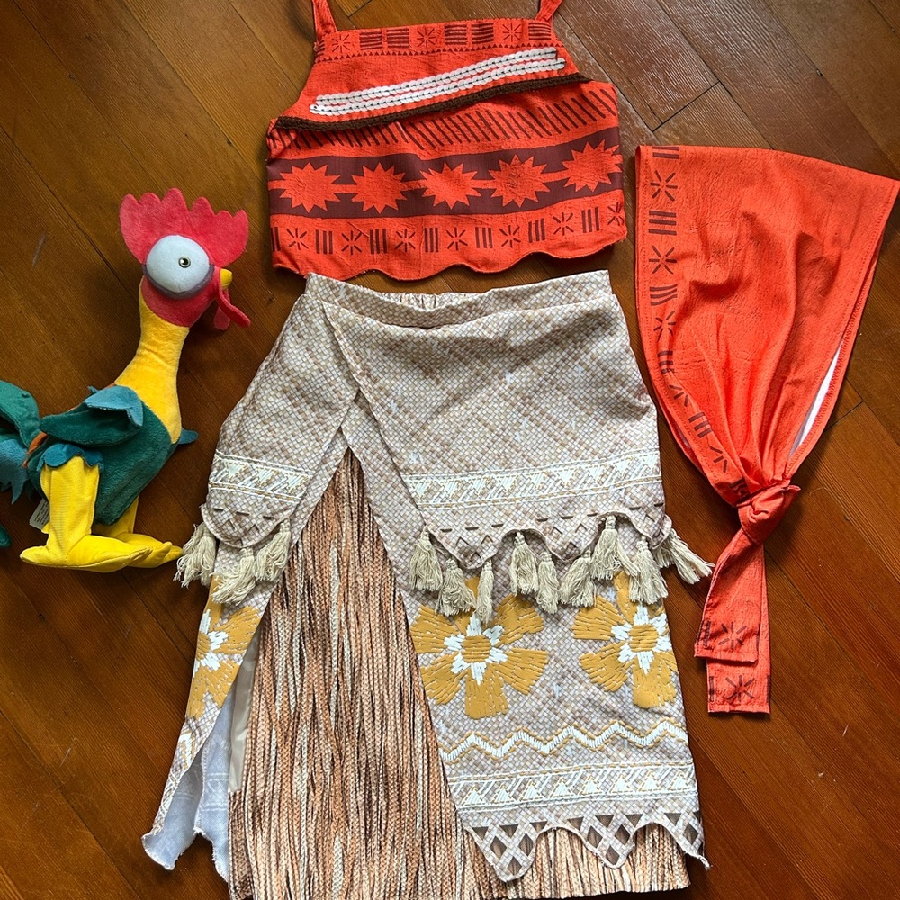 Disney Parks Moana costume with heihei toy
